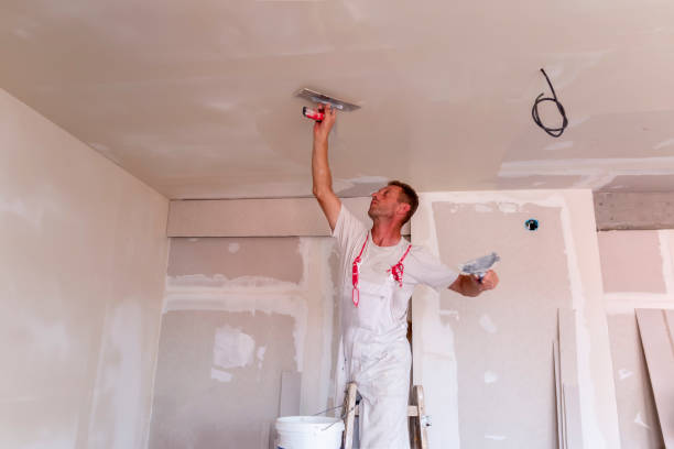 Best Touch-Up Painting  in Poway, CA